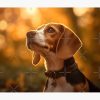 flat750x075f pad750x1000f8f8f8.u2 23 - Beagle Merch