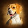 flat750x075f pad750x750f8f8f8 19 - Beagle Merch