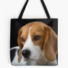 tb1040x1040large c1198800800 bgf8f8f8.u8 7 - Beagle Merch