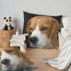 throwpillowsecondary 36x361000x1000 bgf8f8f8 4 - Beagle Merch