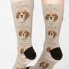 ursocks female back mediumtall portrait750x1000 bgf8f8f8.4 18 - Beagle Merch